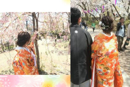 色打掛紋付袴